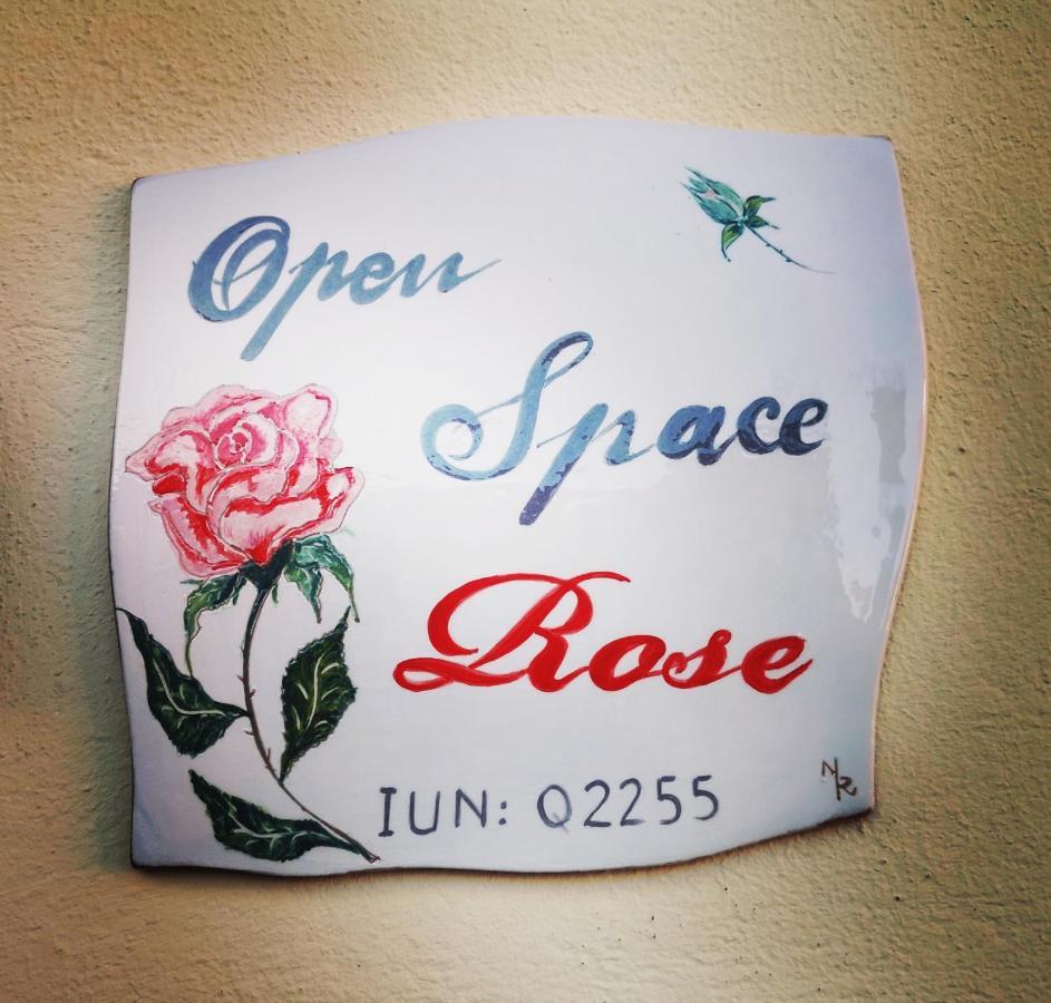 Open Space Rose Iglesias Luaran gambar